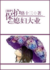 （HP同人）保护媳妇大业
