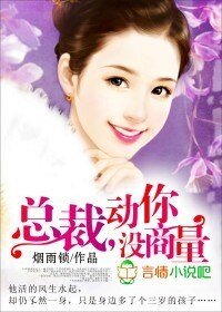 总裁，动你没商量