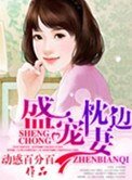 盛宠枕边妻
