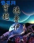 穿越德鲁伊