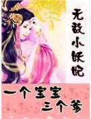 无敌小妖妃：一个宝宝三个爹
