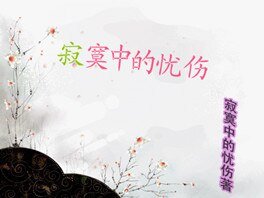 寂寞中的忧伤