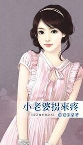 小老婆拐来疼（ 没天良系列之五） 