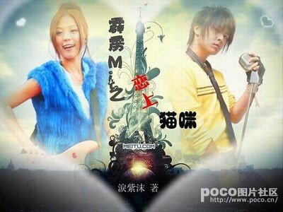 （霹雳MIT同人）霹雳MIT之恋上猫咪