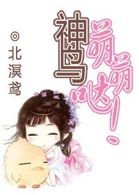 神鸟萌萌哒！/鸢子，扑！