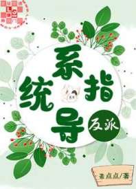 反派指导系统