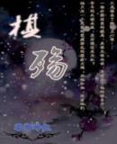黑白双翼棋子