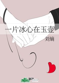 一片冰心在玉壶