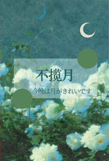 揽月