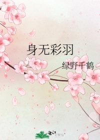 身无彩羽