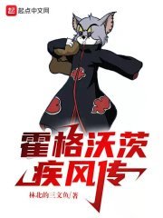 （HP/火影同人）霍格沃茨疾风传
