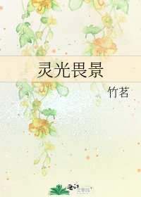 灵光畏景