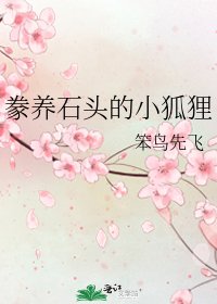 豢养石头的小狐狸