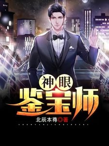 《神眼鉴宝师》