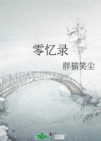 零忆录