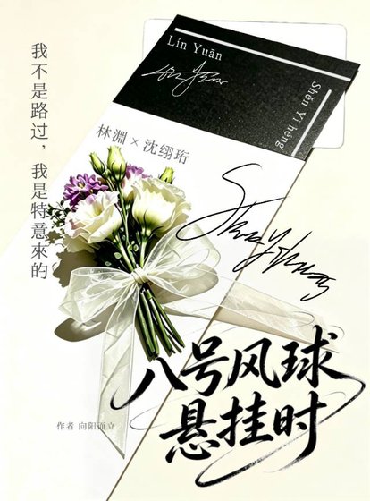 八号风球悬挂时