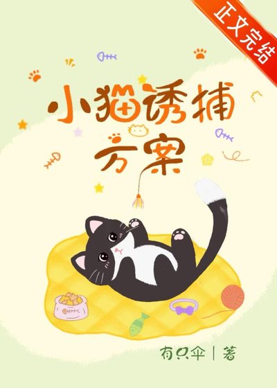 小猫诱捕方案