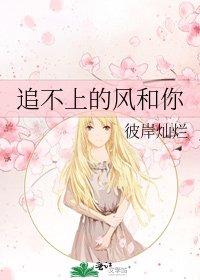 追不上的风和你