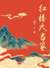 （红楼梦同人）红楼大当家
