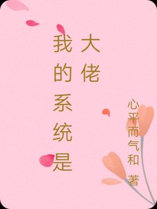 我的系统是大佬
