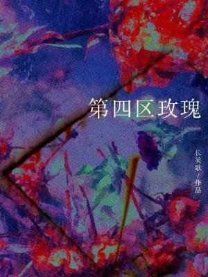 第四区玫瑰