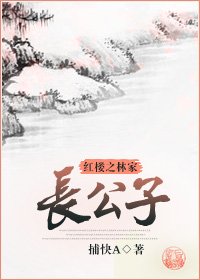 【红楼同人】红楼之林家长公子